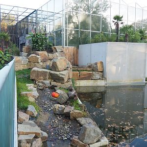 Asian small-clawed otter land area next to orangutan island moat, 2022-10-19