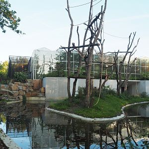 Sumatran orangutan island and Asian small-clawed otter land area, 2022-10-19