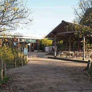Toepaja ("Tree shrew") restaurant and covered eating area, 2022-10-19