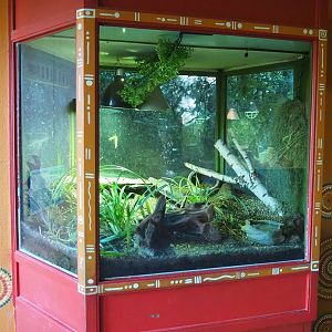 Children's python terrarium, 2022-10-19