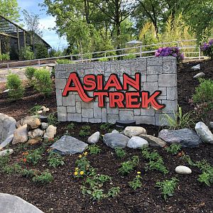 New Asian Trek