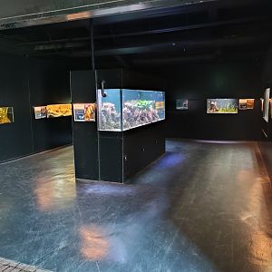 Indoor area - Aquarium and terrarium room