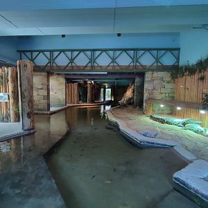 Indoor area - Nile crocodile enclosure