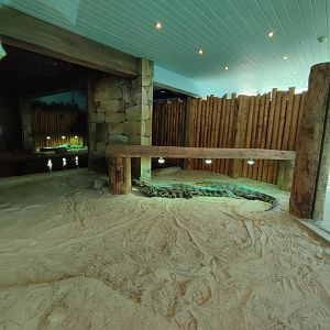 Indoor area - Nile crocodile enclosure