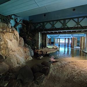 Indoor area - Nile crocodile enclosure
