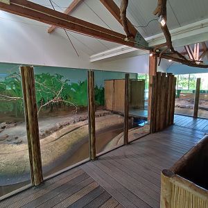 Indoor area - giant otter indoor enclosure