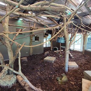Indoor area - white-faced saki enclosure
