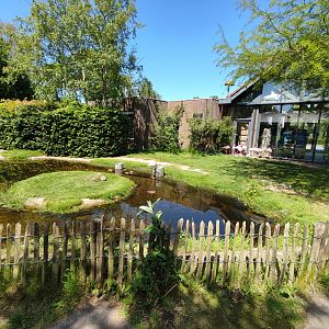 Lesser flamingo enclosure
