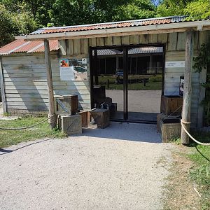 African penguin walk-through enclosure - indoor enclosure