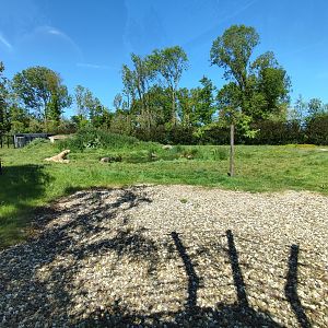 Polar bear enclosure - first enclosure