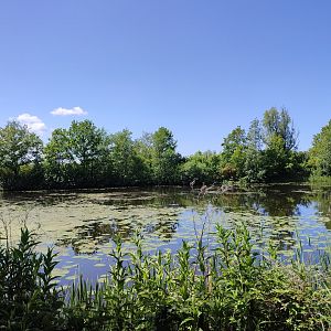 Seal enclosure - first half