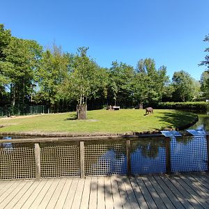 Tapir enclosure - viewing point from the platform