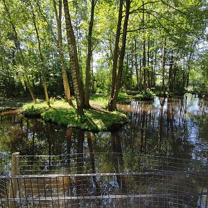 Red-crowned crane enclosure