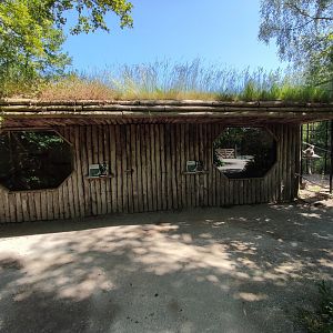 Indoor enclosures of ring-tailed lemurs and belted lemurs.