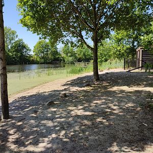 Seal enclosure – beach