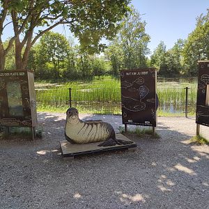 Seal enclosure - education about plastic soup