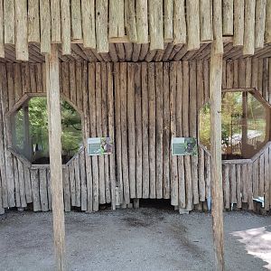 Indoor enclosures for monkeys