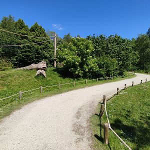 Walk-through lemur island