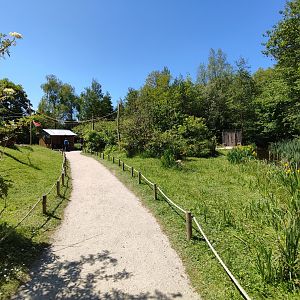 Walk-through lemur island