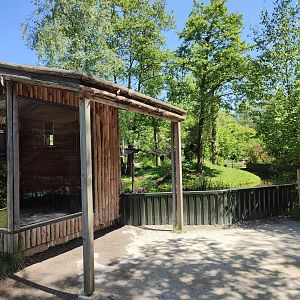 Red panda enclosure - indoor enclosure