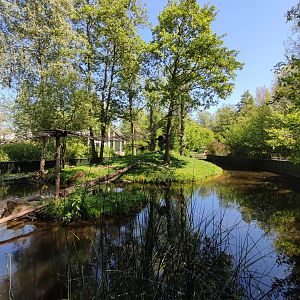 Red panda enclosure - outdoor enclosure