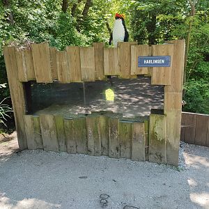 Raccoon enclosure - indoor enclosure