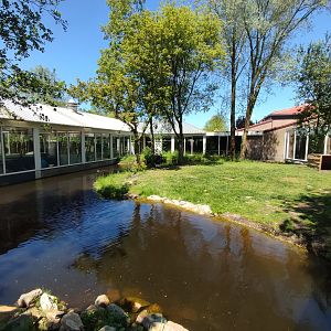Giant otter enclosure - outdoor enclosure