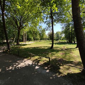 Walk-through kangaroo enclosure