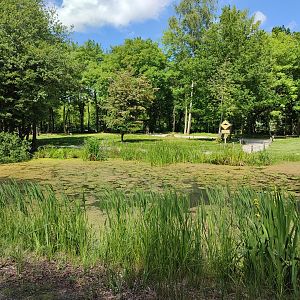Walk-through kangaroo enclosure