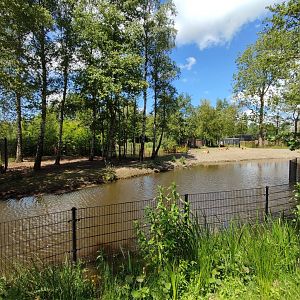 Père David's deer enclosure