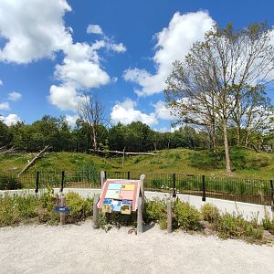 Amur tiger enclosure - first enclosure