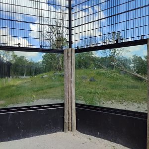 Amur tiger enclosure - first enclosure