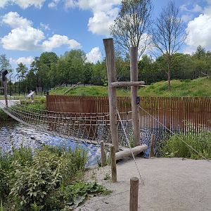 Adventure trail - suspension bridge over the water next to the tiger enclosure