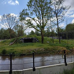 Amur tiger enclosure - first enclosure