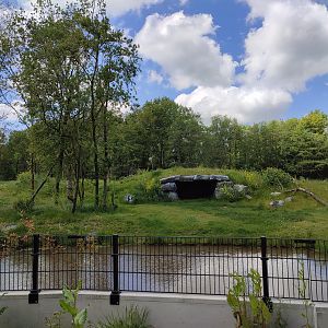 Amur tiger enclosure - second enclosure
