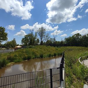 Amur tiger enclosure - second enclosure