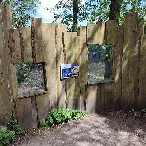 Great white pelican enclosure - viewing point at indoor enclosure and beach