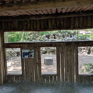 Humboldt penguin enclosure - viewing point at the nests