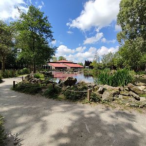 Walk-through Humboldt penguin enclosure - large pond
