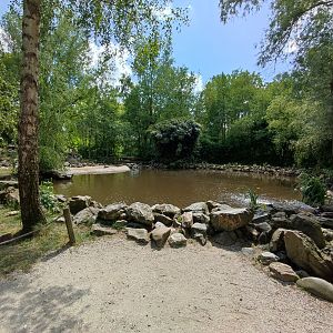 Walk-through Humboldt penguin enclosure - small pond