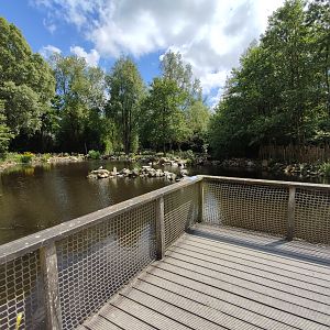 Humboldt penguin enclosure - viewing point at large pond