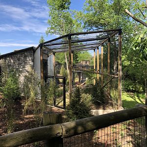 Example of Red Panda Exhibit