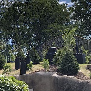 Red Panda Ridge Above Sea Lions