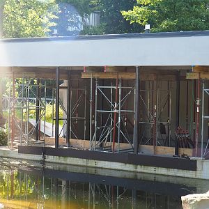 Construction of Sulawesi black crested macaque house, 2023-06-04