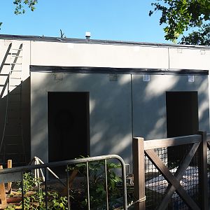 Construction of Sulawesi black crested macaque house, 2023-06-04