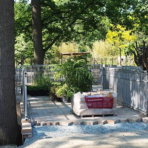 New Somali wild ass - Dorcas gazelle - Ostrich viewing area construction site, 2023-06-04