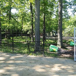 New Somali wild ass - Dorcas gazelle - Ostrich paddock construction site, 2023-06-04