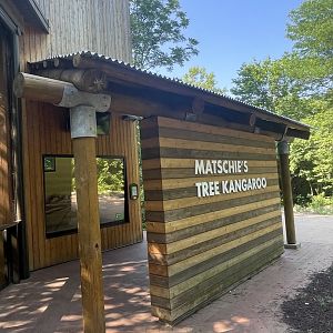 Matschie’s Tree Kangaroo Exhibit