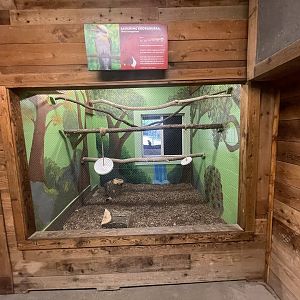 Indoor Kookaburra Exhibit