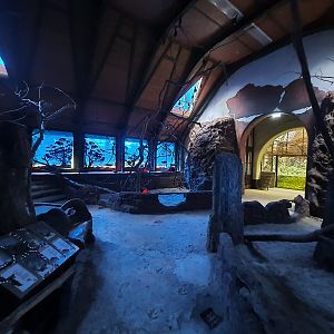 Australian-themed nocturnal animal walk through